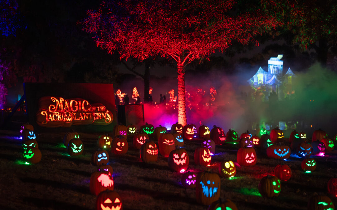 Magic of the Jack O'Lanterns Denver