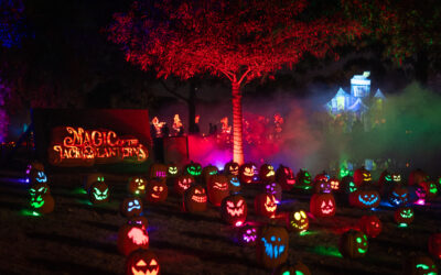 Magic of the Jack O’Lanterns Celebrates Five Years of Glowing Halloween Tradition at Hudson Gardens Sept. 19 through Nov. 2, 2025