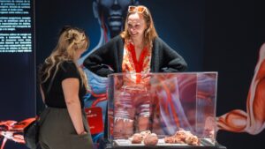 Image of people looking at an exhibit at Bodies - The Science Within