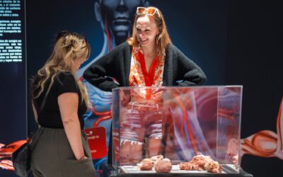 Due to Popular Demand, Bodies – The Science Within Extends Denver Exhibition Through September 20