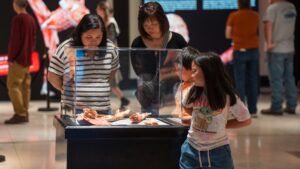 Image of people looking at an exhibit at Bodies - The Science Within